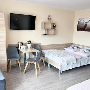 Ubytování v soukromí Goscinne Nowa Gran, Zakopane